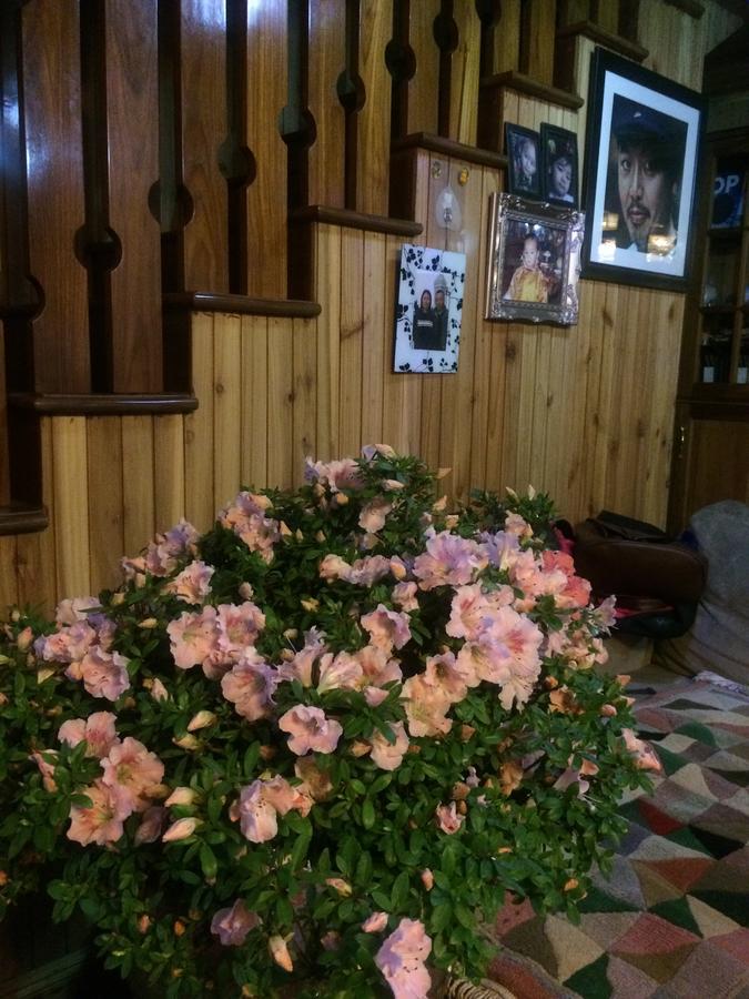 Ngawang Homestay Дарджилинг Екстериор снимка